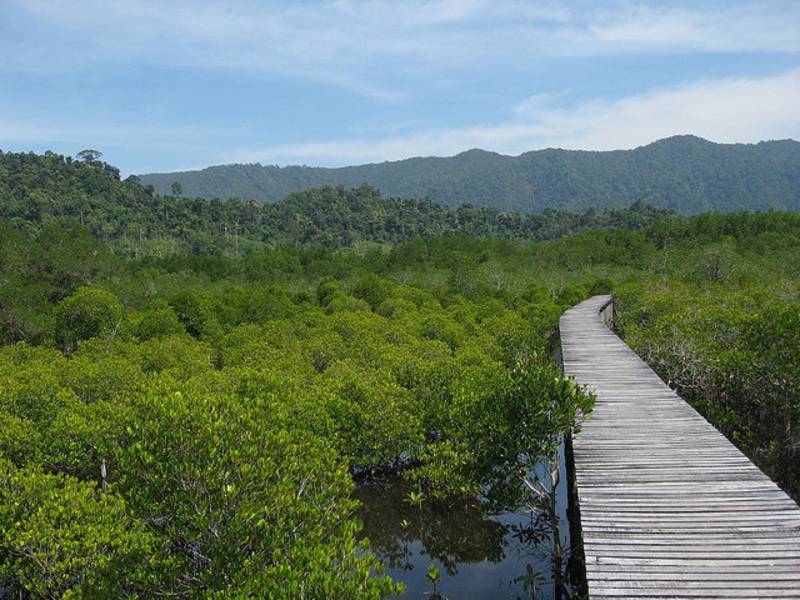 Mangrove Forest resort in Koh Kong Province, Cambodia 