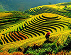 11-Day Laos and North Vietnam Tour