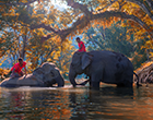 Cambodia Private Tours | 5-Day Kanchanaburi & Pattaya Tour